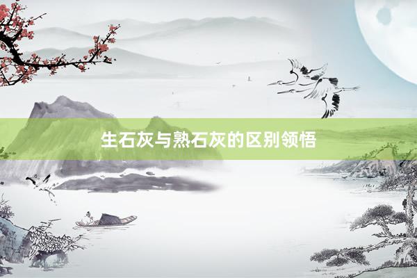 生石灰与熟石灰的区别领悟